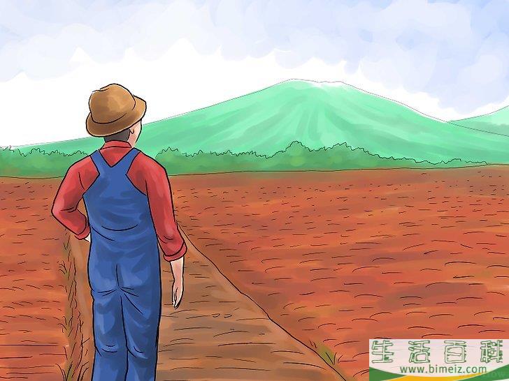 怎么种植大米