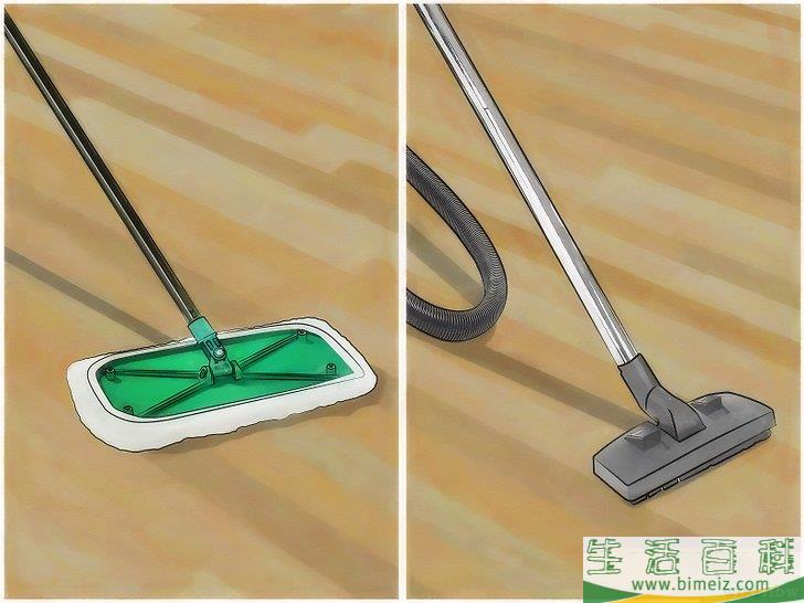 怎么清除屋里的蜘蛛