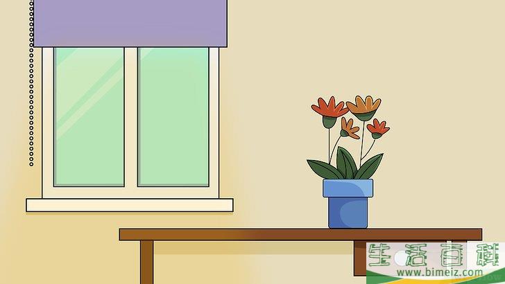 怎么种植室内盆栽