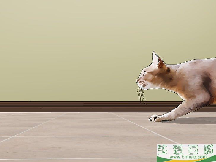 怎么除去老鼠