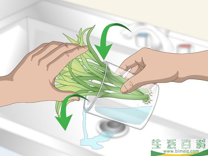 怎么繁殖富贵竹