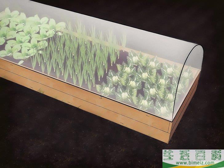 怎么让动物远离你的菜园