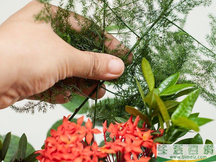 怎么制作花卉工艺品