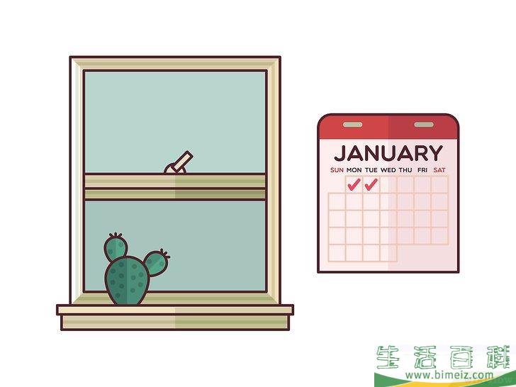 怎么在室内种植仙人掌
