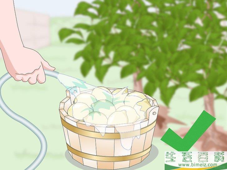 怎么用大蒜制作花园喷剂