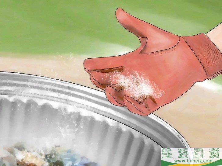 怎么杀光蝇蛆