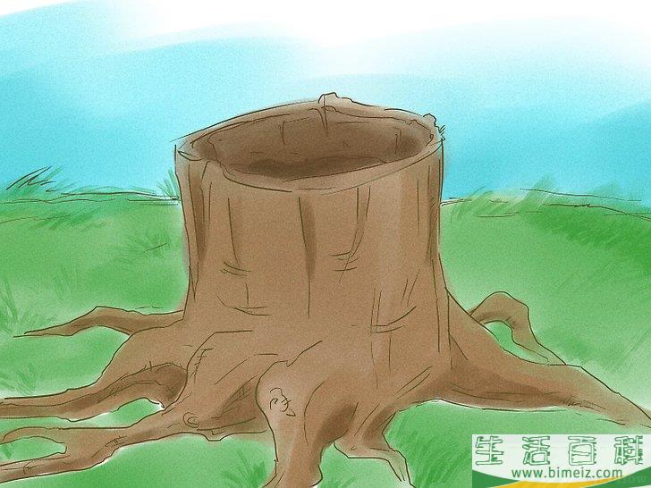 怎么杀死树根