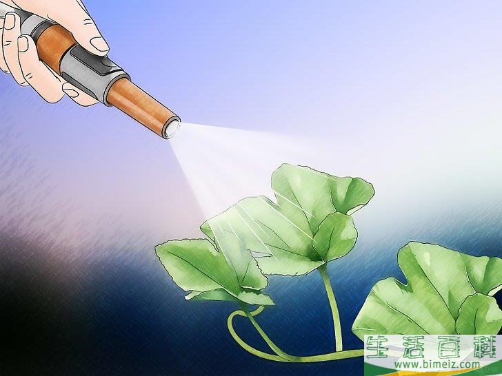 怎么调节土壤的pH值
