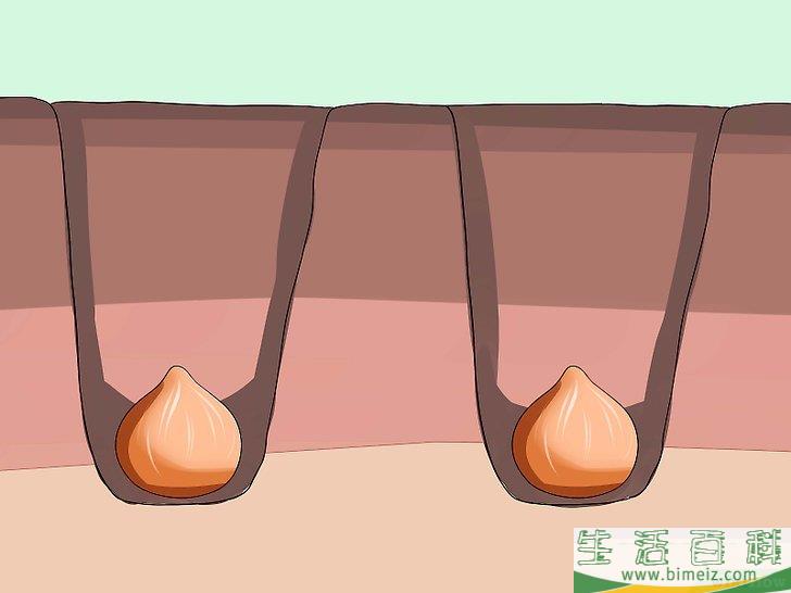 怎么照顾郁金香