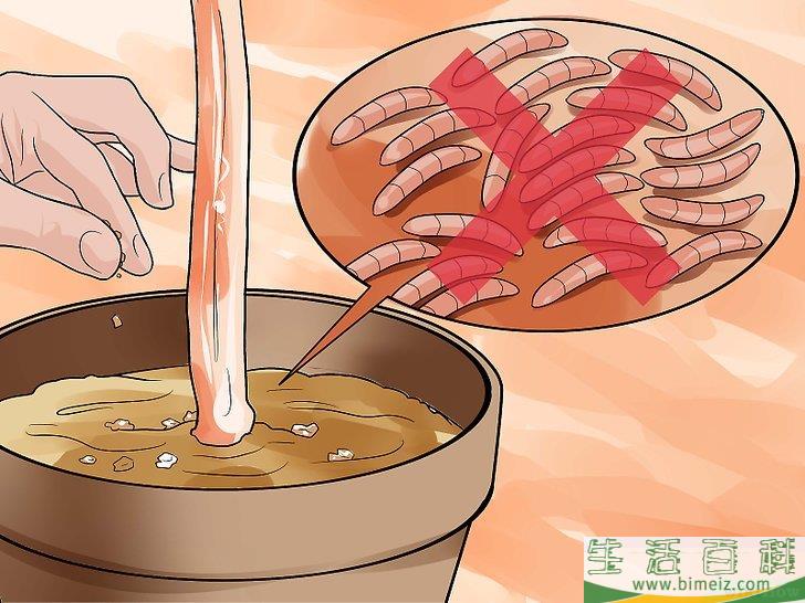 怎么在花园里利用咖啡渣