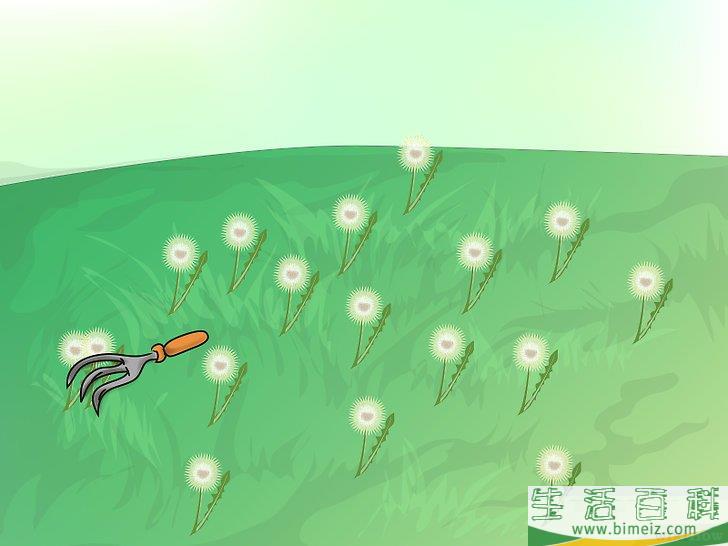 怎么种植野花