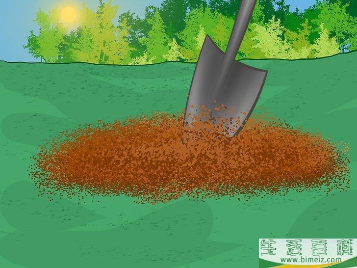 怎么分栽黄花菜