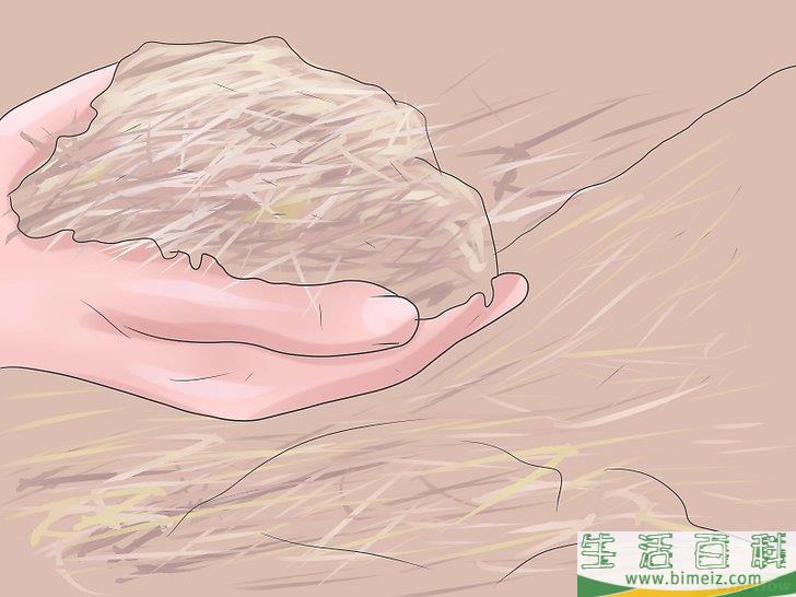 怎么培育百合花