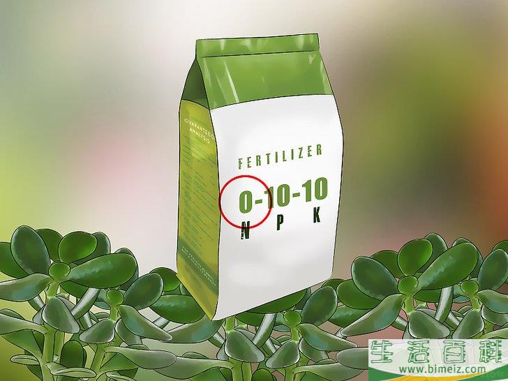 怎么消灭粉疥虫