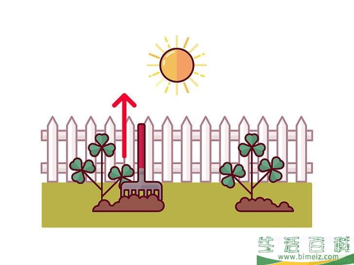 怎么清除三叶草