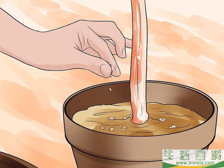 怎么在花园里利用咖啡渣