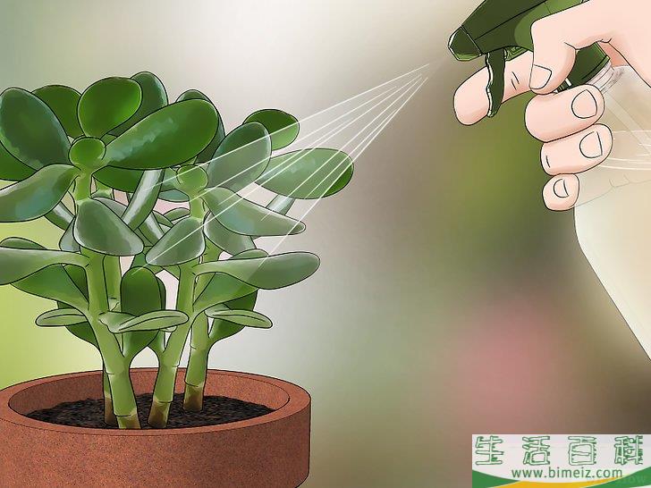 怎么消灭粉疥虫