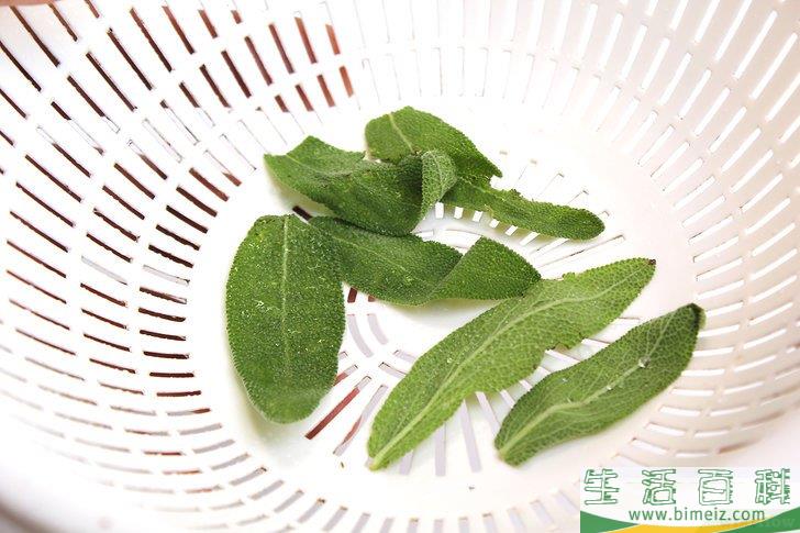 怎么得到干燥的鼠尾草