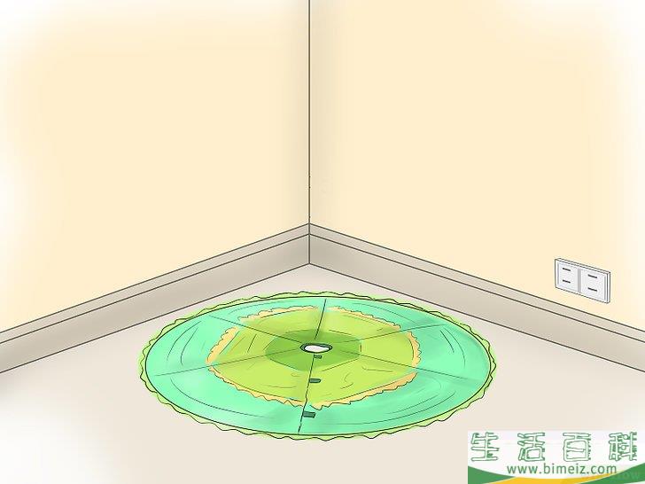 怎么养护圣诞树