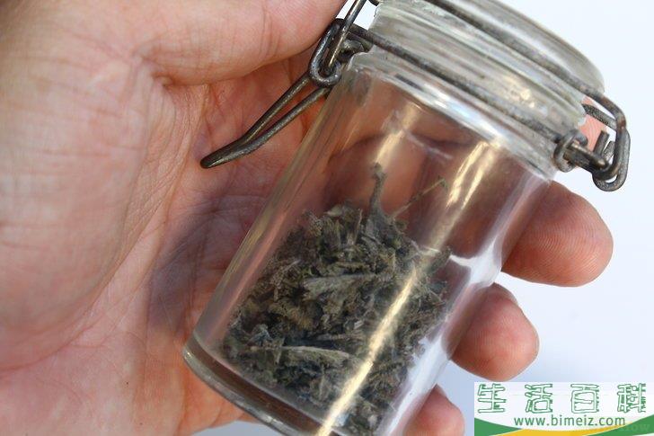 怎么得到干燥的鼠尾草