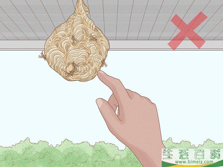 怎么清除黄蜂巢