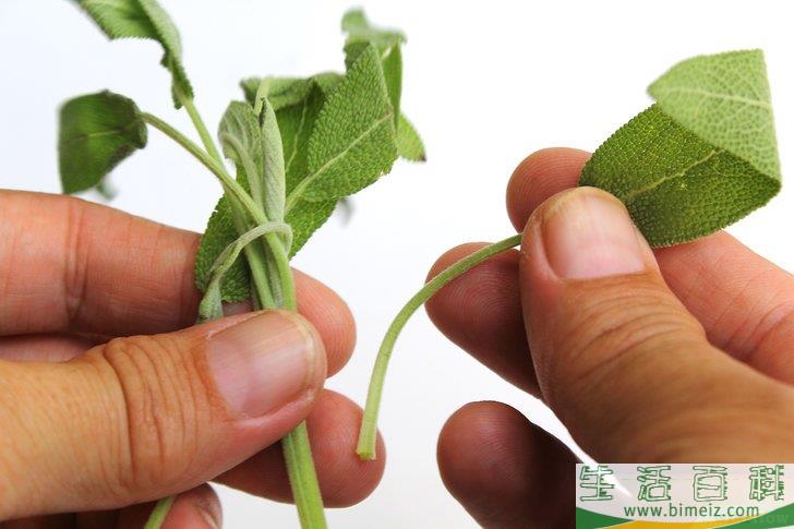 怎么得到干燥的鼠尾草