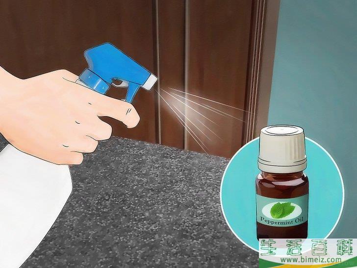 怎么清除屋里的蜘蛛