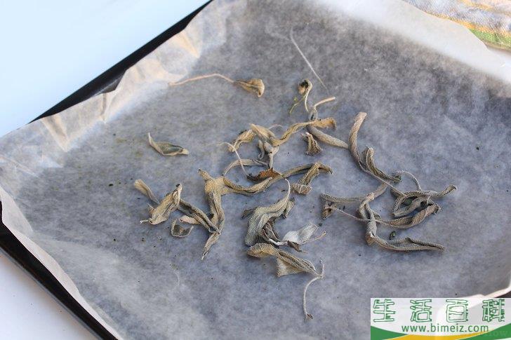 怎么得到干燥的鼠尾草