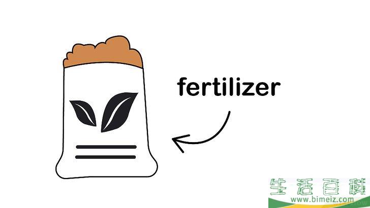 怎么种植室内盆栽