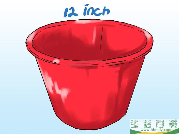 怎么在花盆里种植薄荷