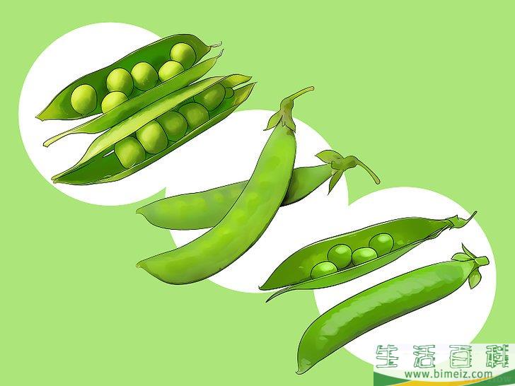 怎么种植豆类和豌豆