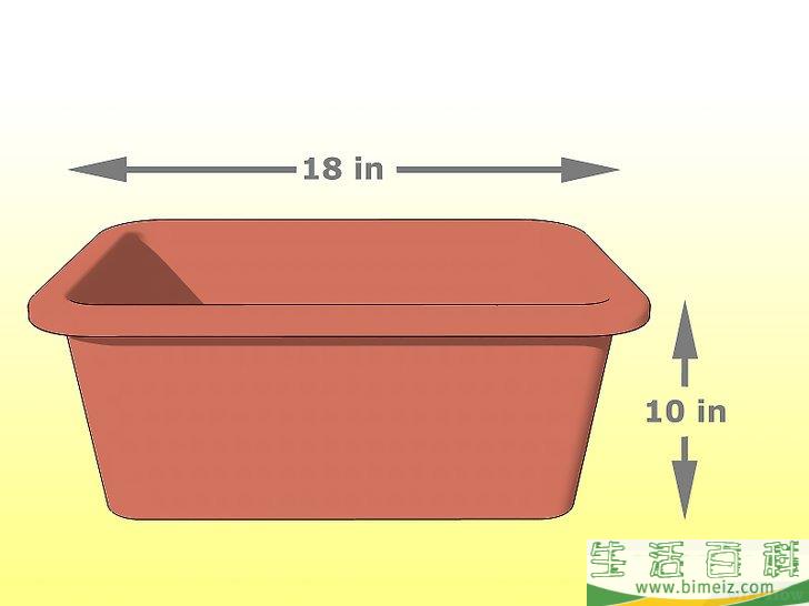 怎么种香菜