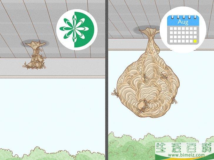 怎么清除黄蜂巢
