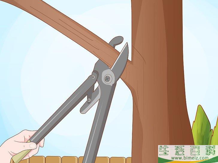 怎么赶走乌鸦