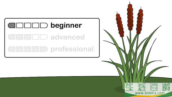 怎么种植室内盆栽