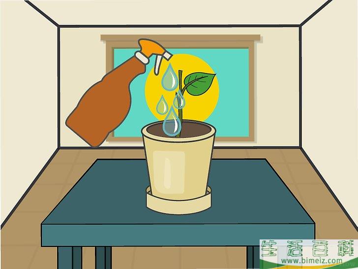 怎么在室内种植柠檬树