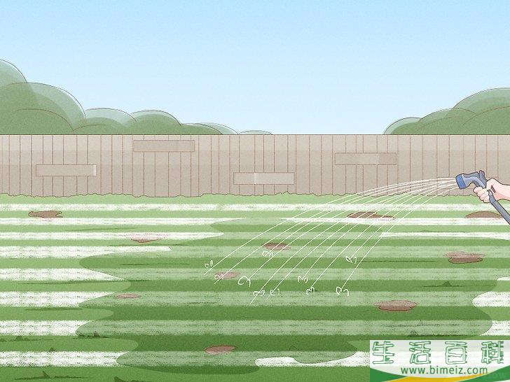 怎么除去莎草