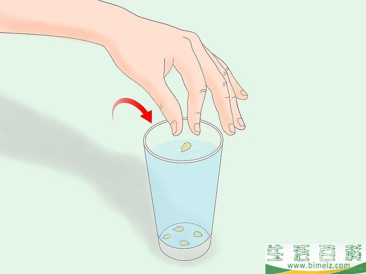 怎么从种子开始种植柠檬