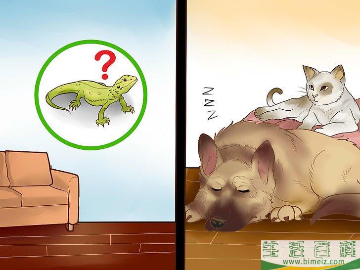 怎么抓住屋内的蜥蜴