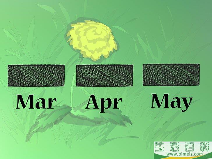 怎么种植野花