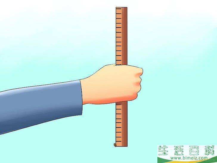 怎么测量树的高度