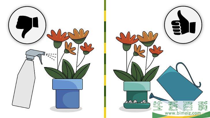 怎么种植室内盆栽