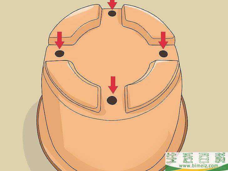 怎么照料招财树