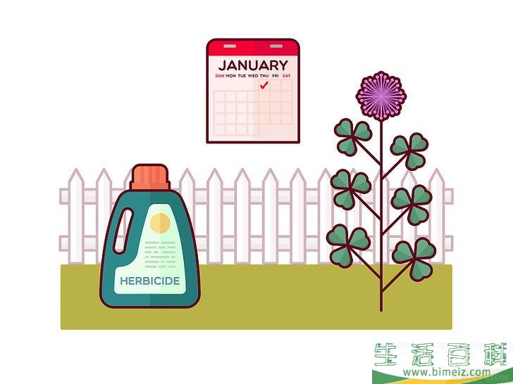 怎么清除三叶草