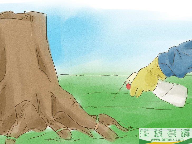 怎么杀死树根