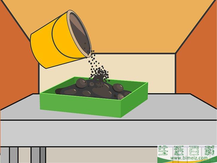 怎么用种子培植辣椒
