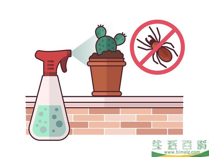 怎么在室内种植仙人掌