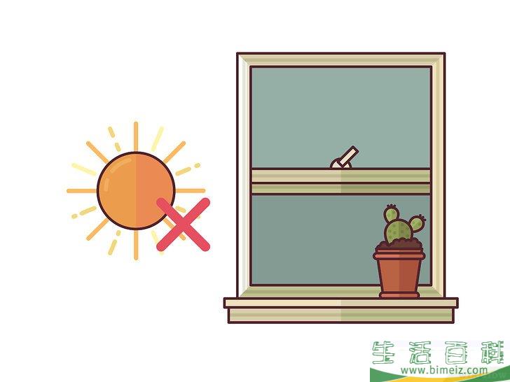 怎么在室内种植仙人掌