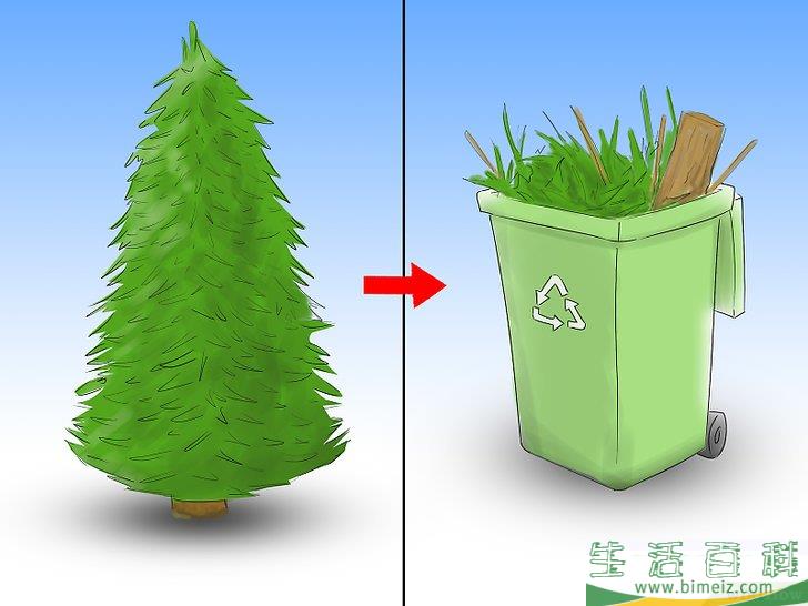 怎么养护圣诞树