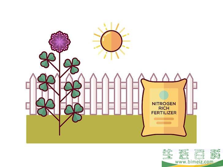 怎么清除三叶草